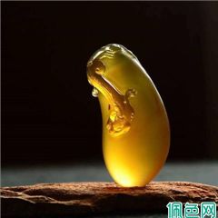 琥珀：时间的礼物，大自然的奇迹！